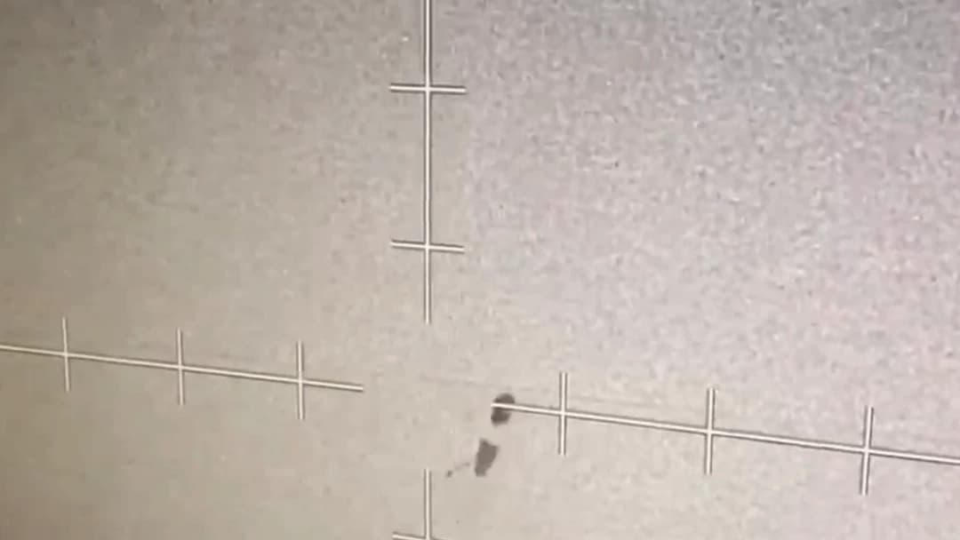 Pantalla infrarroja grabada en ángulo: fondo gris claro con grano, la cruz de la retícula con sus marcas y, junto al centro, dos manchas oscuras, una mayor arriba y otra alargada debajo.