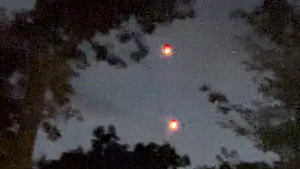 Zoomed in, grey sky between branches and two orange orbs, each with a yellow-white spot below and a red edge above.