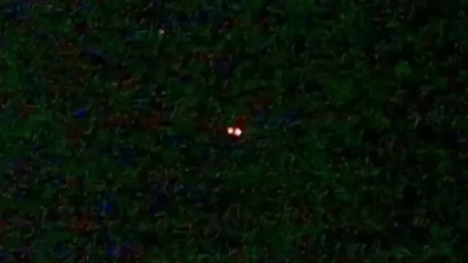 Fondo negro con grano verdoso y, en el centro, dos puntos de luz rojizos y blancos muy juntos.