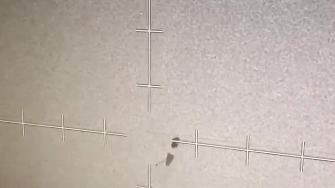 Pantalla infrarroja grabada en ángulo: fondo gris claro con grano, la cruz de la retícula con sus marcas y, junto al centro, dos manchas oscuras, una mayor arriba y otra alargada debajo.